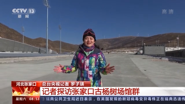 2022年北京冬奥会丨记者探访张家口古杨树场馆群