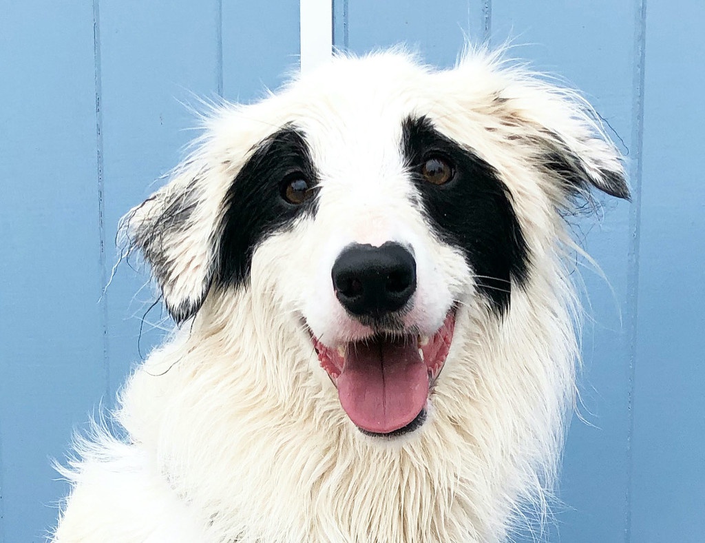 资料图 图源：东方IC