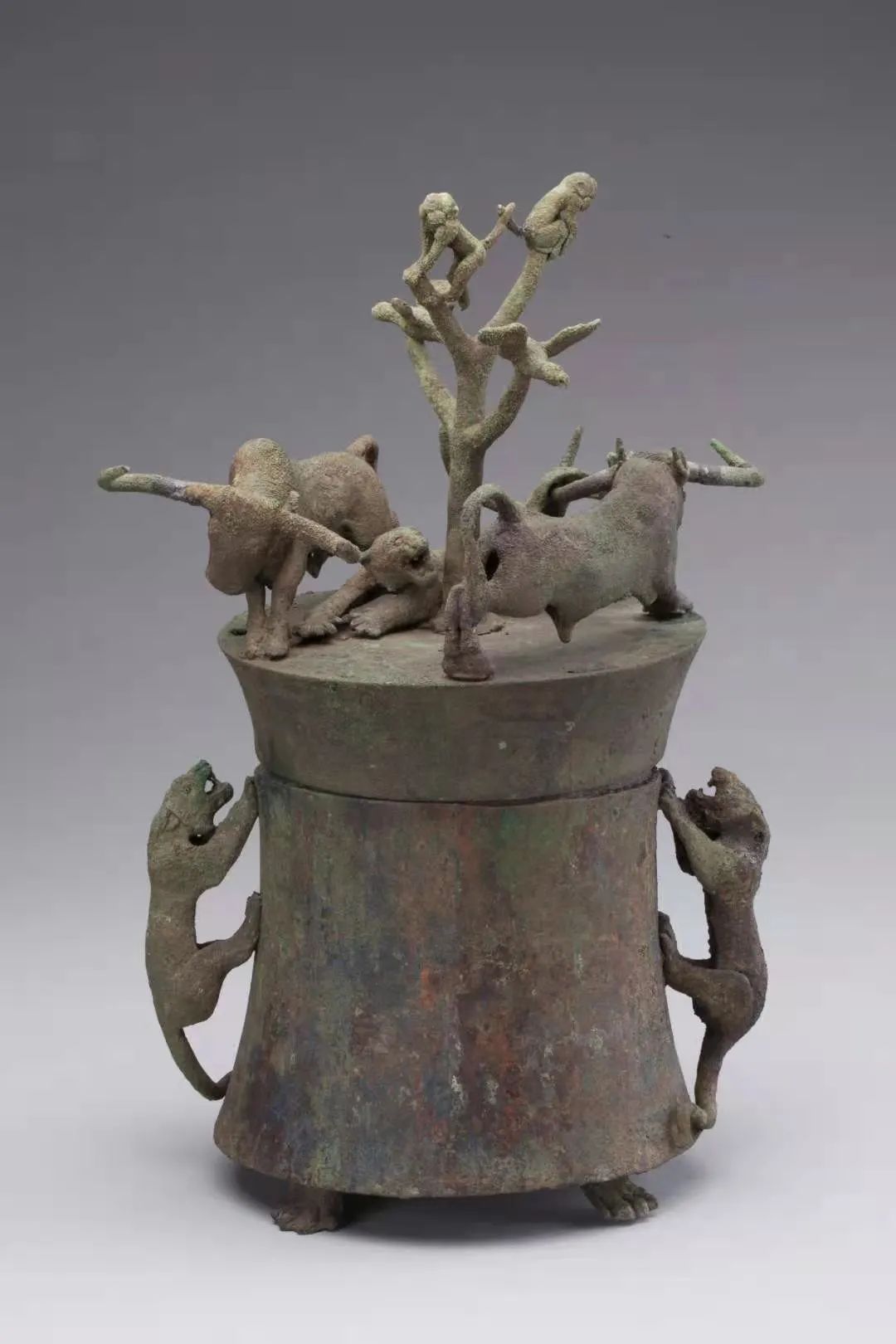 滇王存钱罐上演激烈牛虎斗