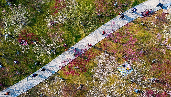 部分春节返程机票价格上涨，本地“微度假”流行