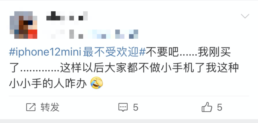 iPhone 12这个机型二季度将停产？相关人士：芯片紧缺