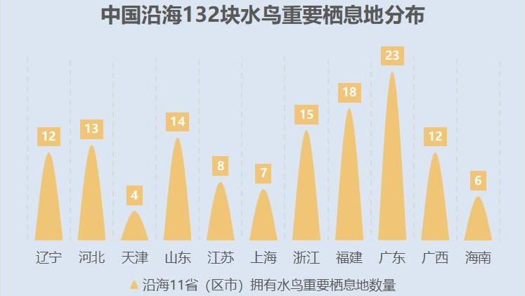 中科院发布中国沿海132块水鸟重要栖息地名录