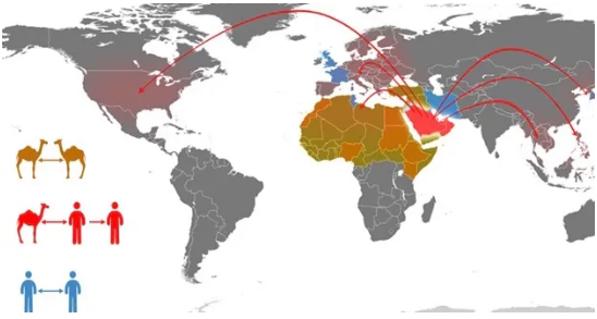 至今出现MERS骆驼传骆驼、骆驼传人和人传人的国家和地区。（图片来源：WHO）