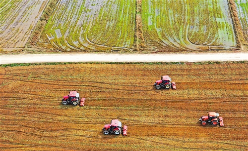 各地春耕备耕见闻：抢抓农时增效益 化肥运输有保障