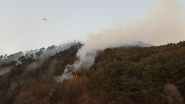 韩国江原道山火燃烧18个小时后被扑灭 未造成人员伤亡