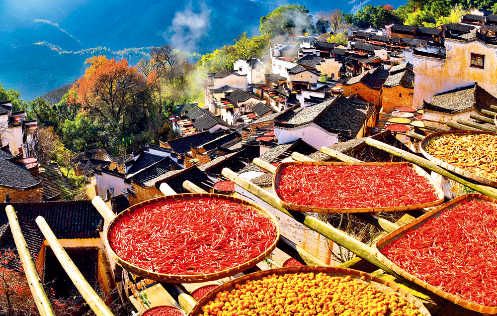 这也是农民反映最强烈的民生痛点