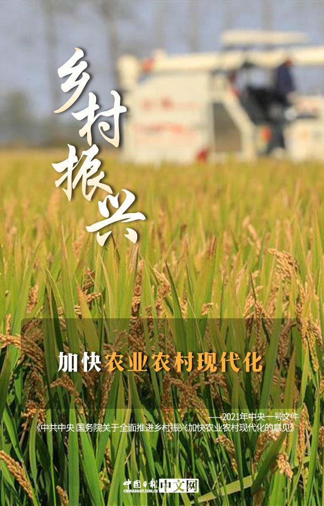 图说:中央一号文件为乡村振兴描绘美好蓝图|三农_新浪财经_新浪网