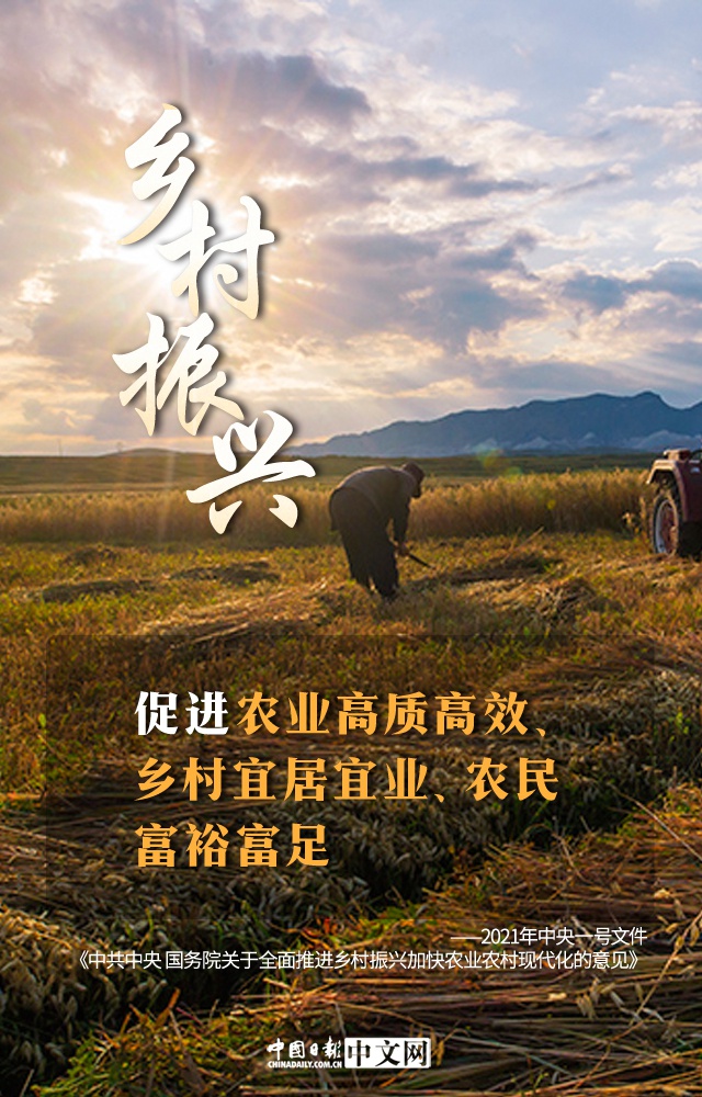 图说:中央一号文件为乡村振兴描绘美好蓝图|三农_新浪财经_新浪网