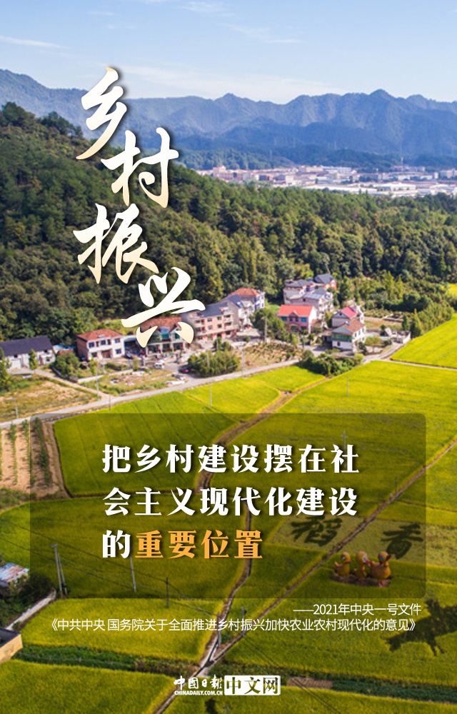 图说中央一号文件为乡村振兴描绘美好蓝图