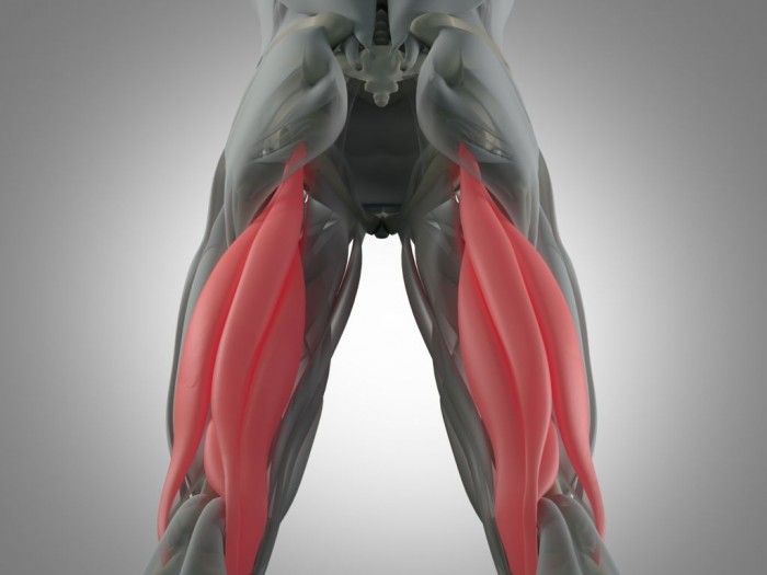 [图]重编程细胞新成果：配合支撑结构可用于重建肌肉