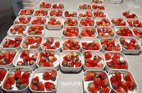 ▲ 草莓跟车厘子，我全都要