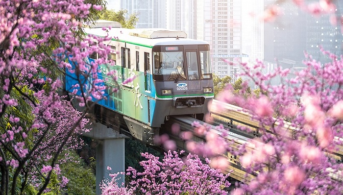 地方新闻精选｜重庆网红列车遭无人机撞击逼停 郑州烩面等入选河南省非遗推荐名单