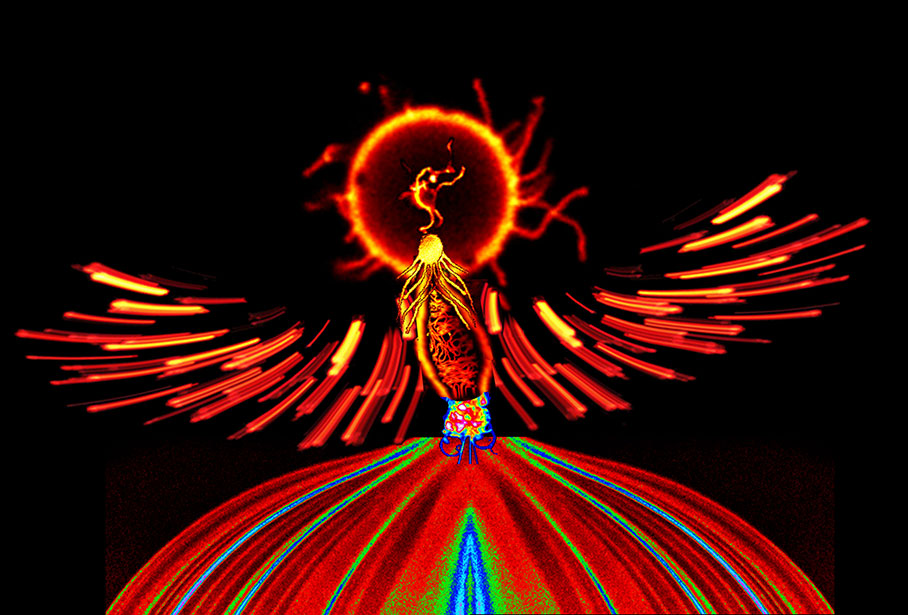 凤凰重生phoenix reborn,2020年科学艺术图片大赛获奖作品,是脂质