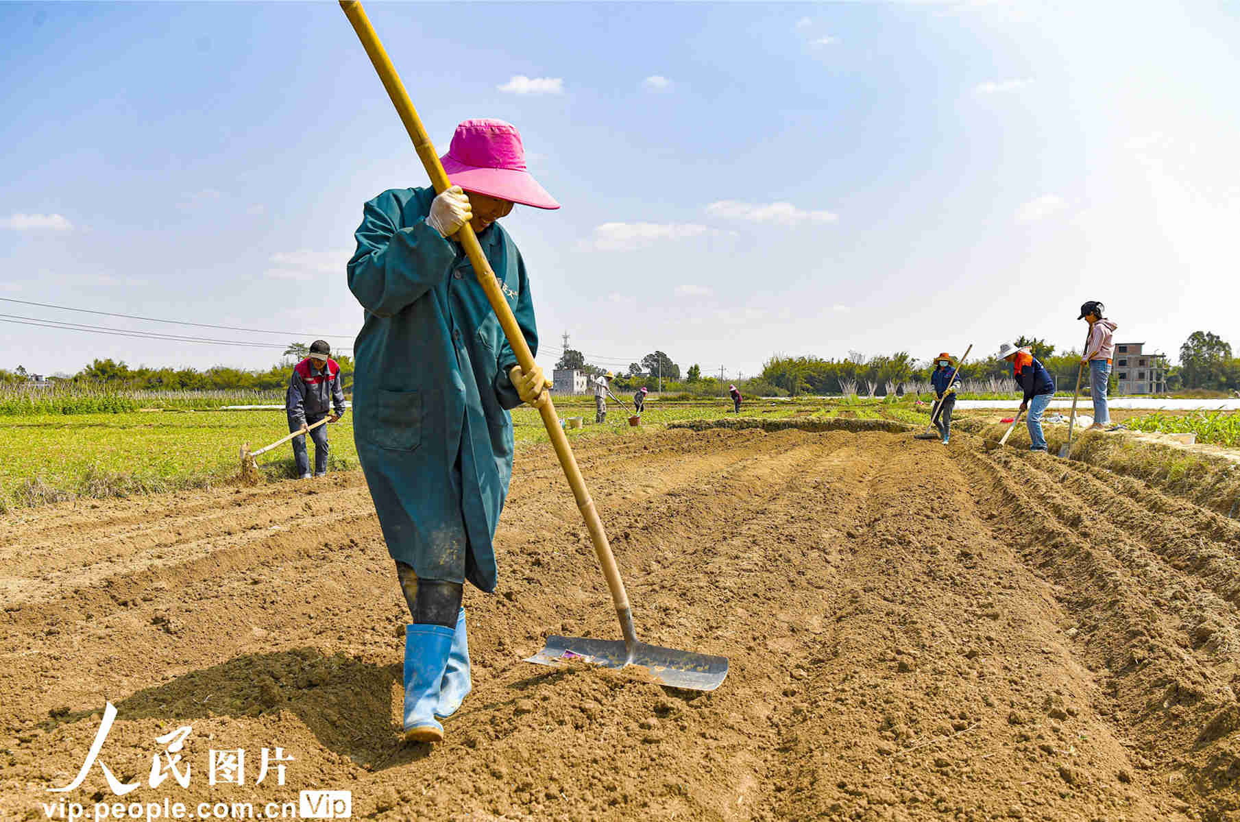 从中央一号文件看发展 “三农”领域发展更美好