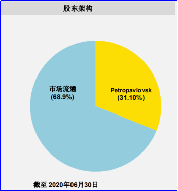 Petropavolovsk是一家英国上市的金矿公司，由俄罗斯公司控制。