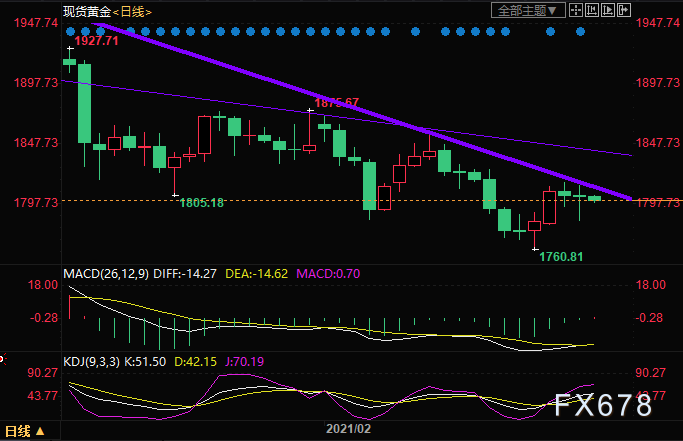  （现货黄金日线图）