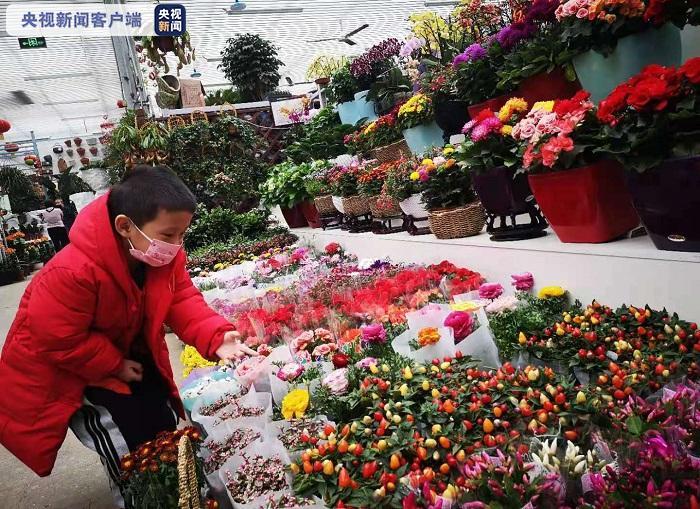 北京年宵花热度不减 价格比节前更“美丽”