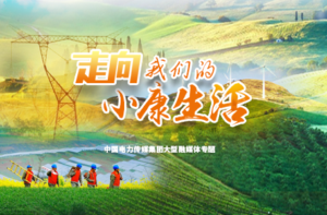 国家能源局获两项全国脱贫攻坚先进表彰