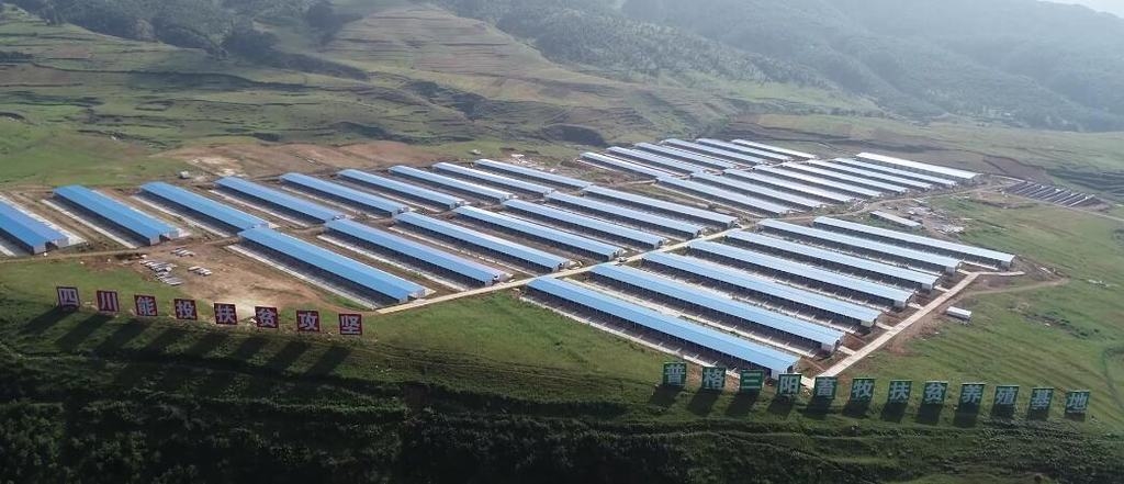 四川能投荣获全国脱贫攻坚先进集体表彰