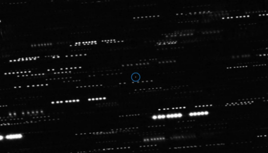 通过多个望远镜观测到的图像，蓝圈中的就是奥陌陌。图片来源：ESO/K. Meech et al.