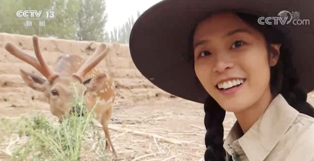 新闻周刊丨"还"在路上的朱宁锐 听说旅行教会了她