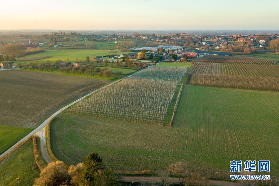 比利时田园春光入画来