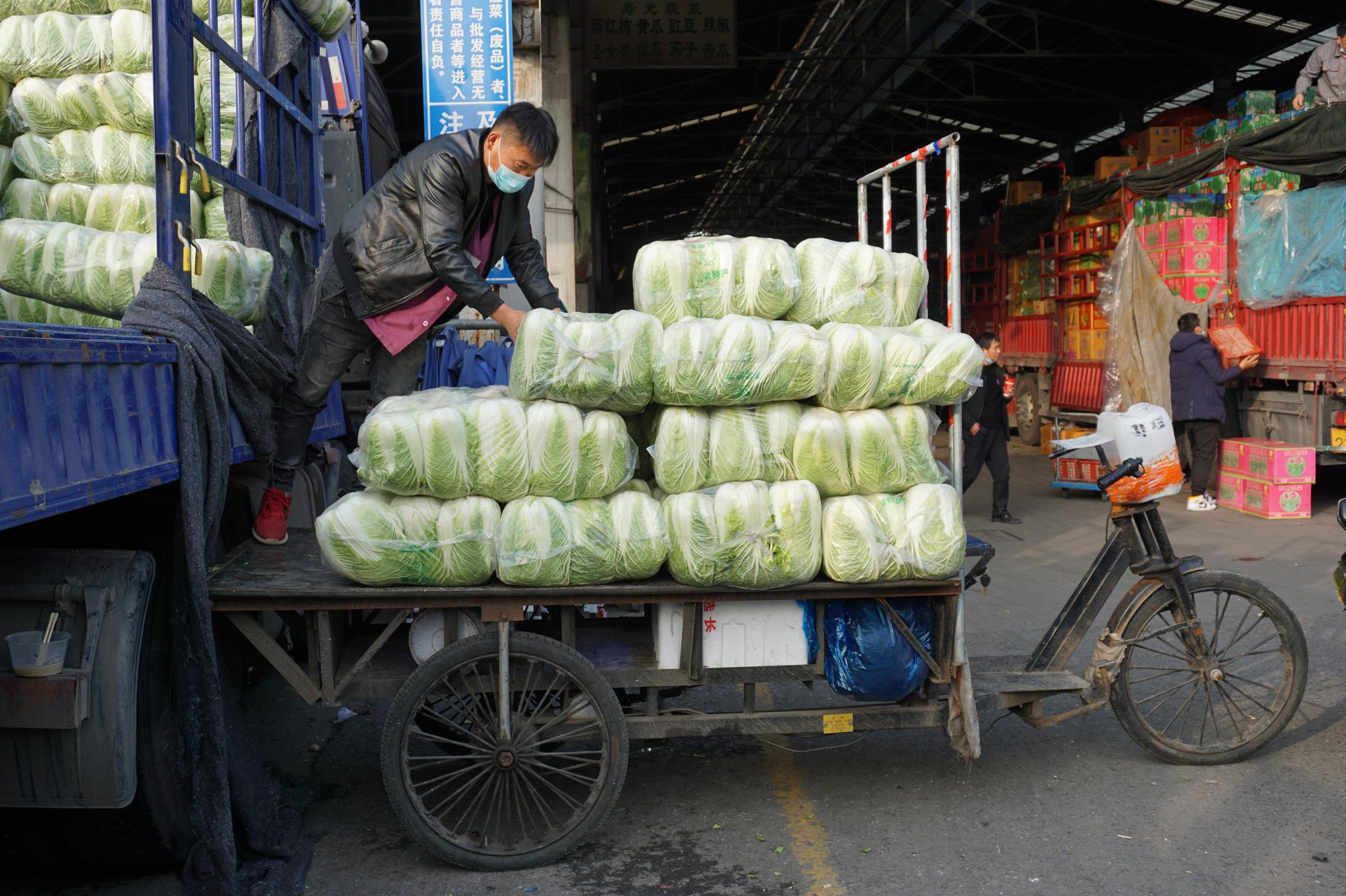 又一车白菜被运走