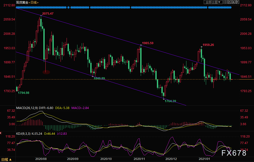  （现货黄金日线图）