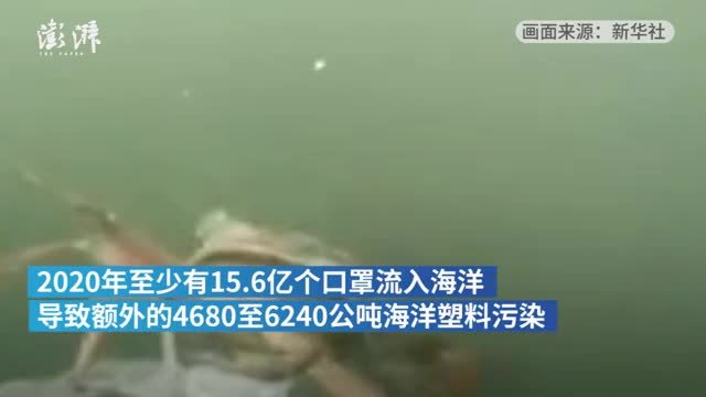 2020年至少有15.6亿只口罩流入海洋：降解需要400到500年（附废弃口罩处理指南）