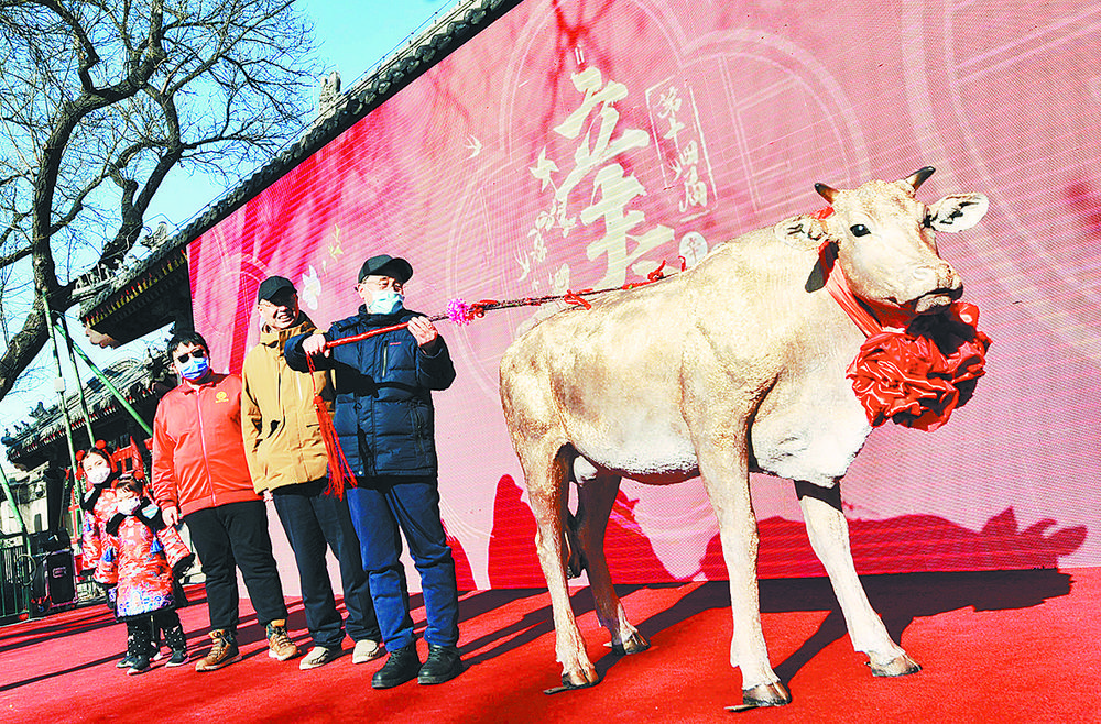 鞭春牛迎新春