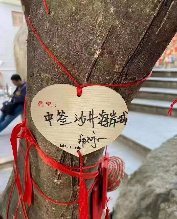 深圳打新伪刚需的狂欢：打到就赚100万 260个月社保都没入围