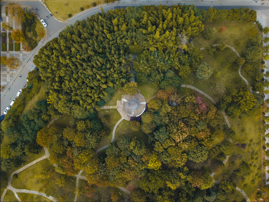 皆因有这缘仿佛你我在河海园相见每日路过所见的致高楼遥望叠翠山上白