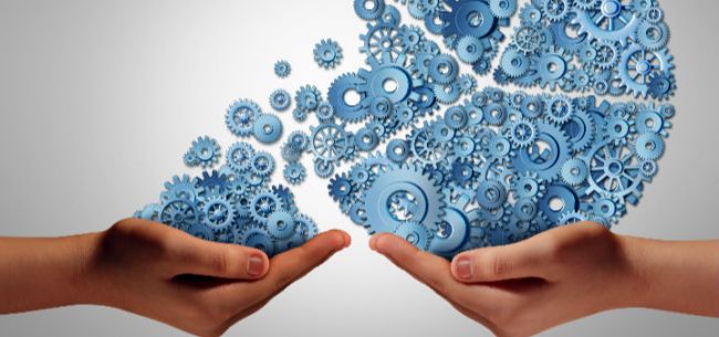 依视路大中华区事务总监吕建中：可持续发展是企业生存的必经之路