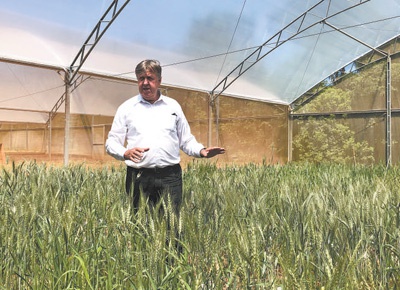 各国促进农业与科技深度融合 深化国际农业科技合作