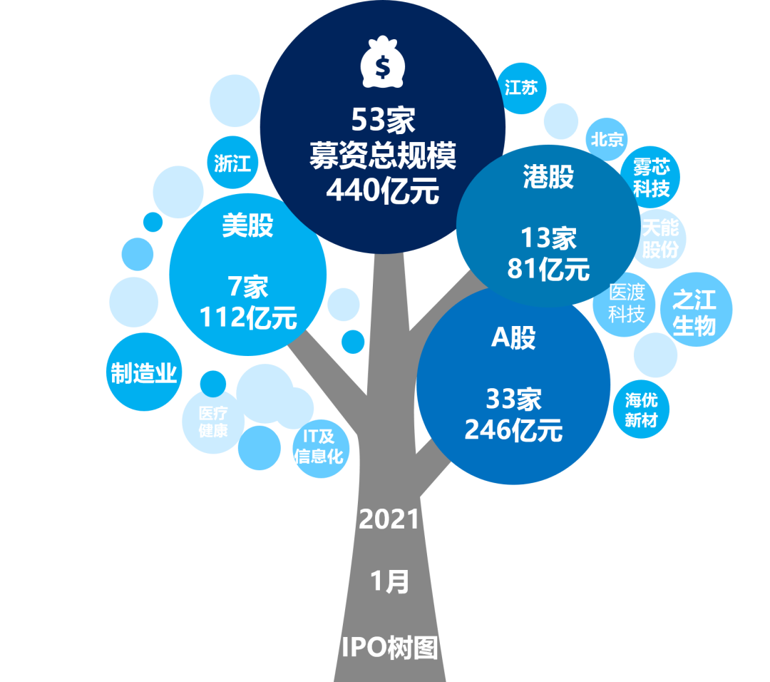 图1 2021年1月IPO概览