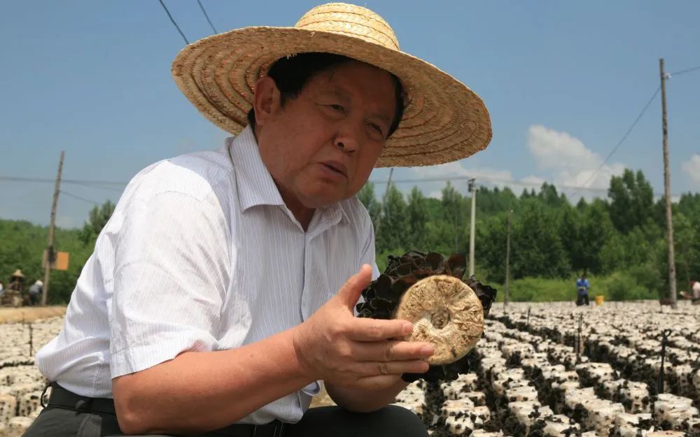 全国脱贫攻坚楷模丨李玉荣誉属于所有为脱贫攻坚奋战的科技工作者自己