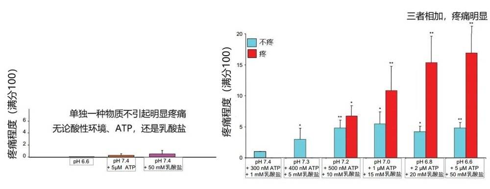运动后,肌肉酸痛真的来自"乳酸堆积"吗?_新浪财经_新浪网