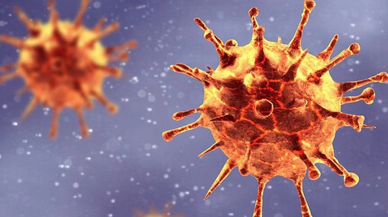巴西发现的新冠变异病毒在英国被检测出 至少6人感染