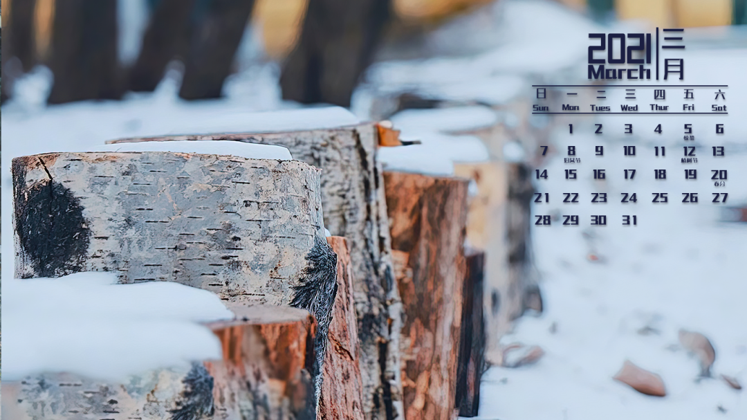 飞雪迎春三月日历壁纸已送达