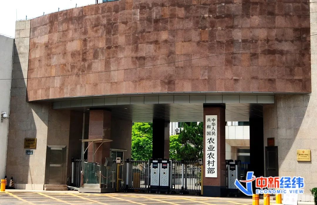 资料图 中新经纬摄