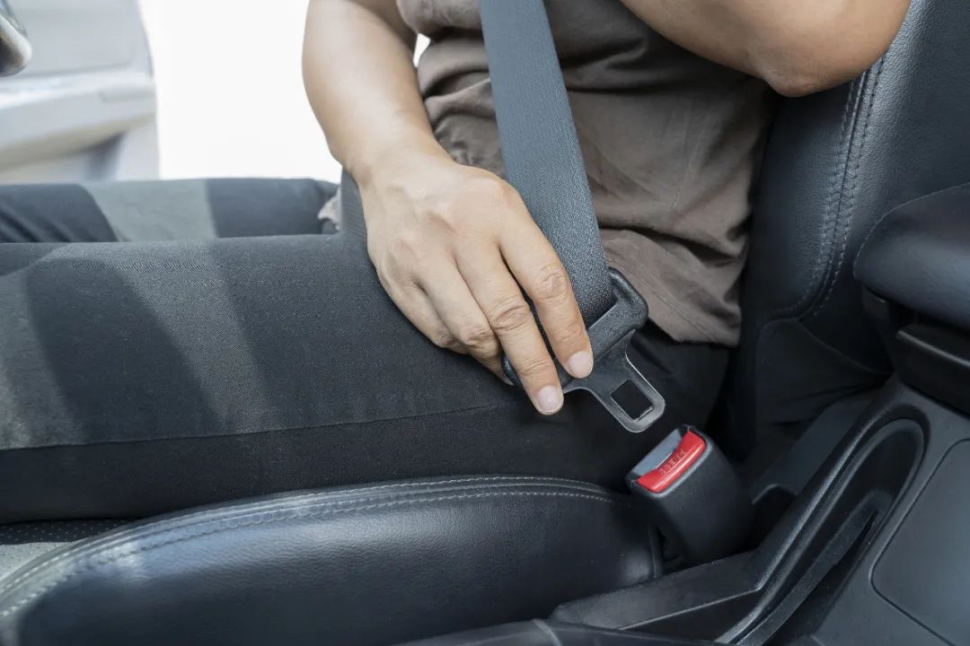 后排也要系安全带今年3673名乘客没系安全带被罚