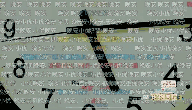 ”小优，晚安“