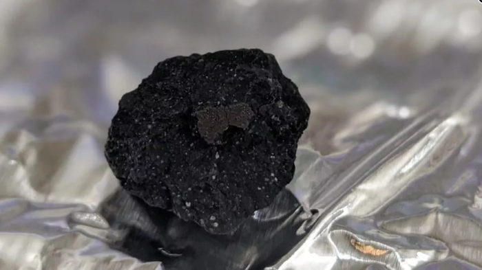 科学家在英国车道发现“惊人罕见”的火球陨石
