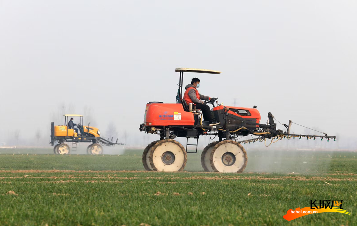 关键词:春耕备耕,农机服务,河北藁城责任编辑:王林红收藏本页打印