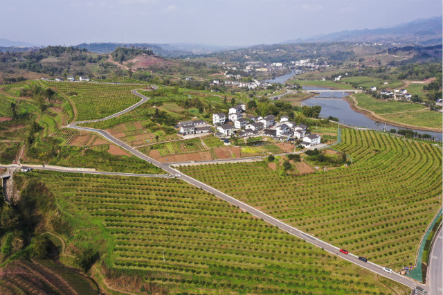 乡村振兴要优化土地配置 新一轮土改探索宅基地“三权分置”