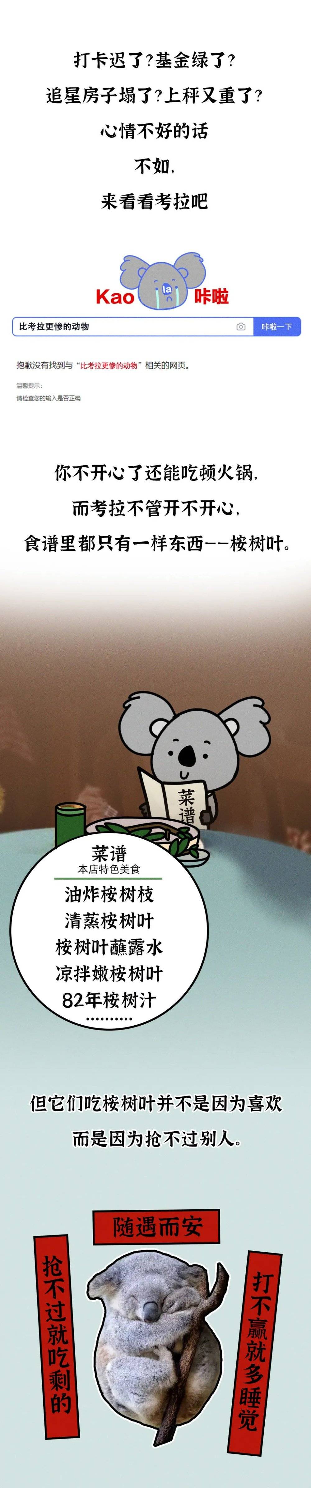 吃屎长大 一生嗑 毒 这么萌的动物却这么惨 考拉 新浪财经 新浪网