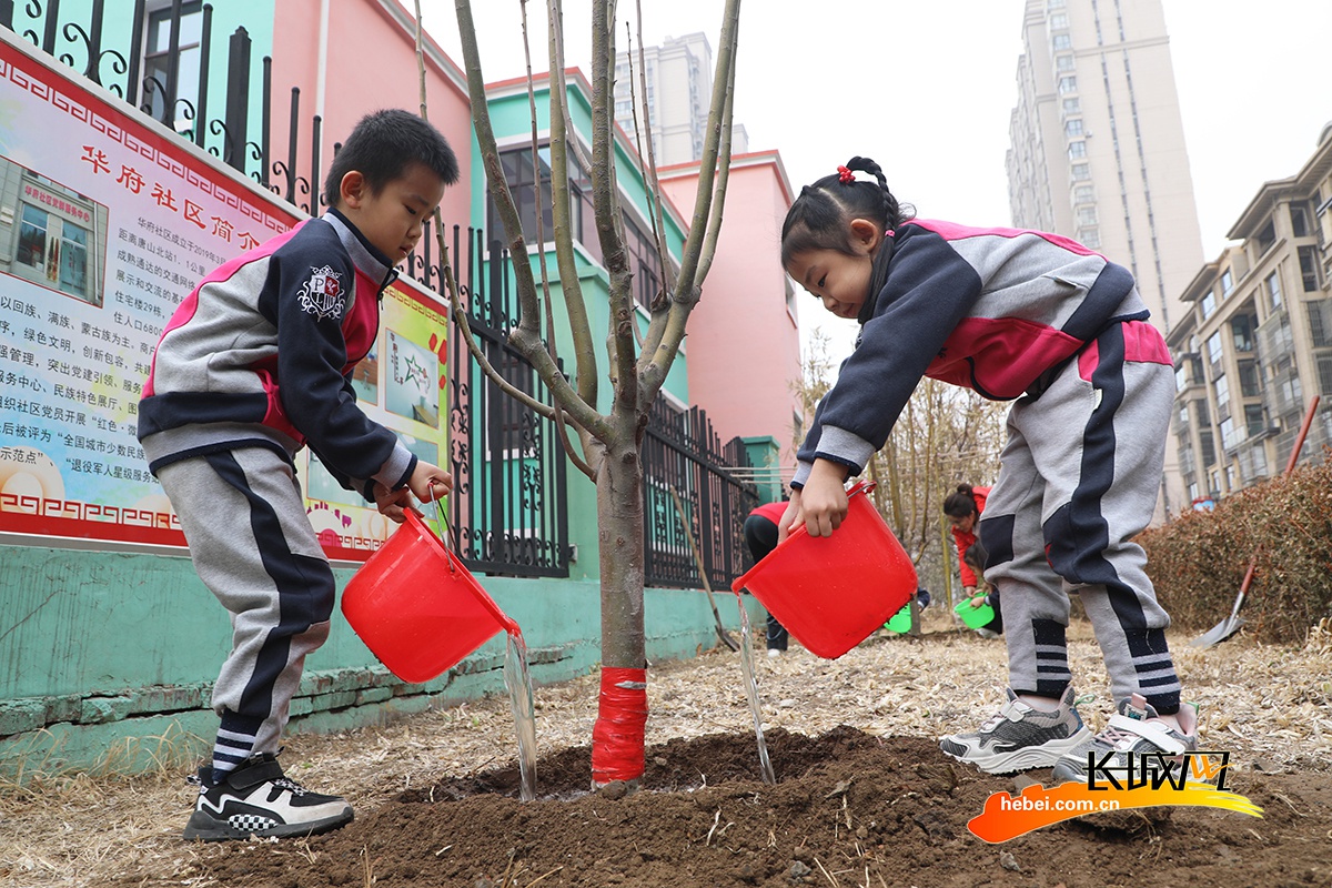 唐山市丰润区第二幼儿园小朋友为刚栽种的树苗浇水.
