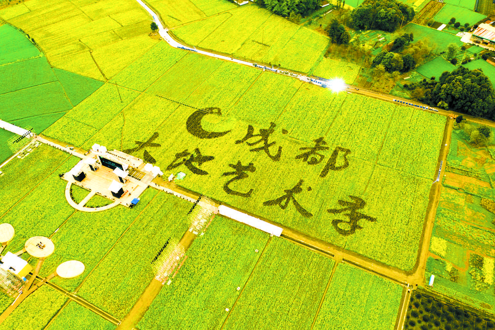 郫都区德源街道东林艺术村是本届艺术季活动主会场所在地