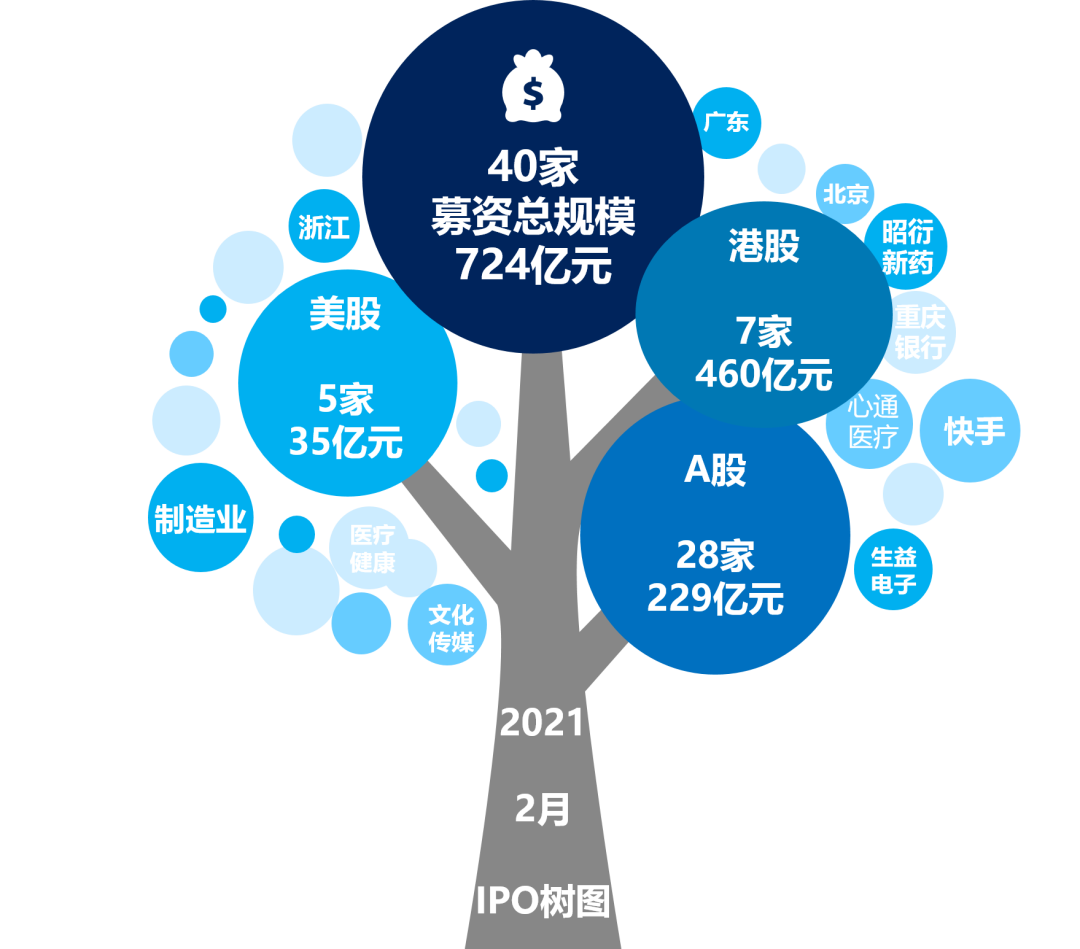 图1 2021年2月IPO概览