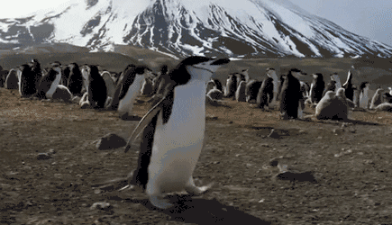 △有时候，在旅行里就有无数个绊倒你的小石子